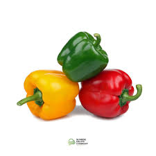 Capsicum