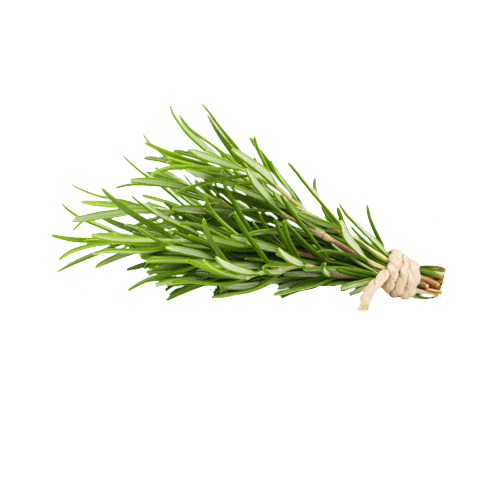 rosemary