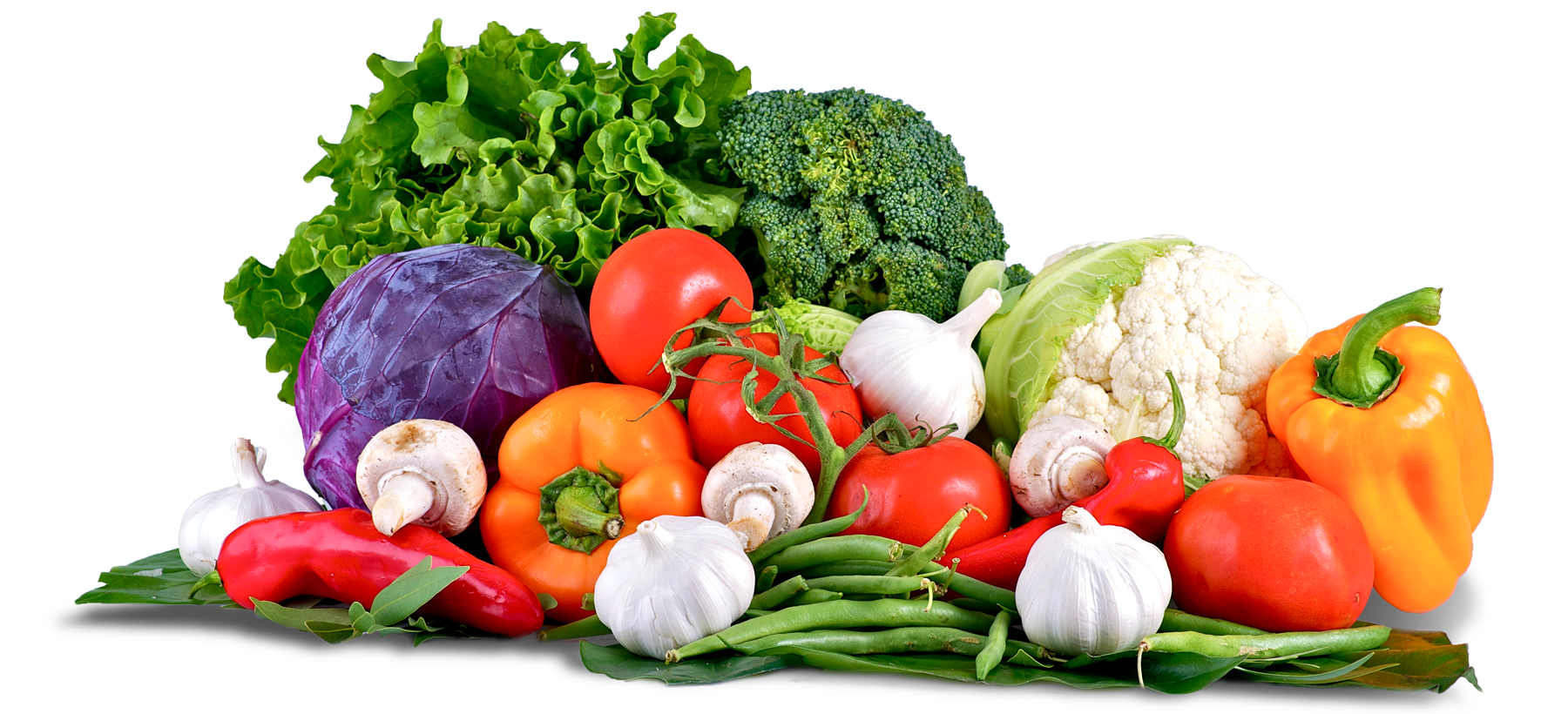 vegez